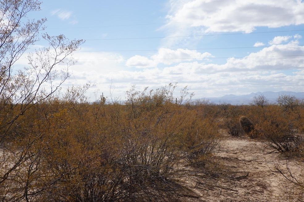 17821 S Wilmot Rd, Sahuarita, AZ 85629 - photo 1