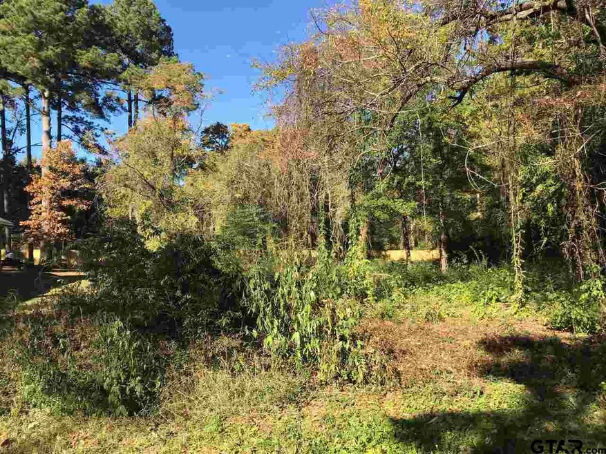 1707 Walton Rd, Tyler, TX 75701 - photo 1