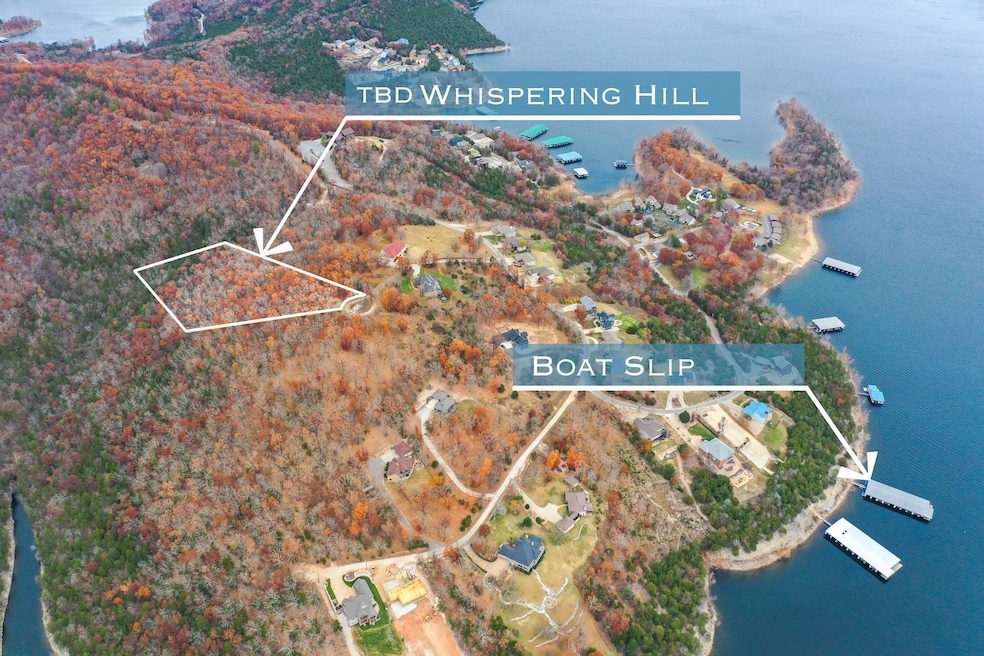 Tbd Whispering Hill Dr, Pine A Township, MO 65611 - photo 1