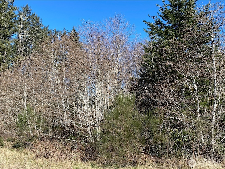 23800 Next to Elm Place, Ocean Park, WA 98640 - photo 1