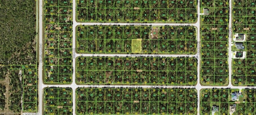 17092 Irving Ave, Port Charlotte, FL 33948 - photo 1