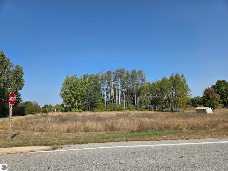 1001 El Camino Grande unit 28-30, Weidman, MI 48893 - photo 1