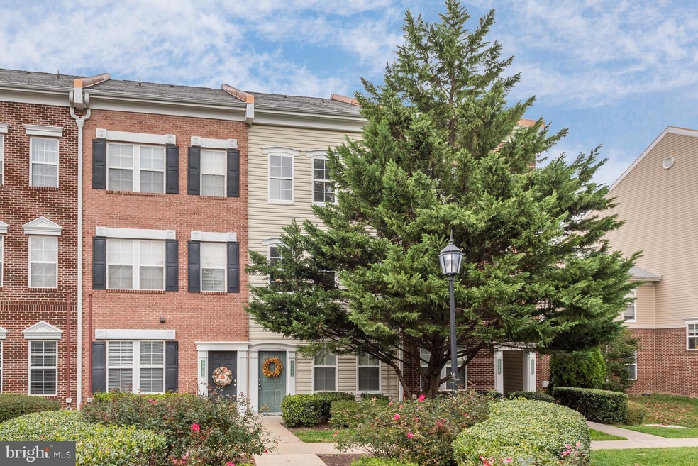 22555 Blue Elder Terrace, Ashburn, VA 20148 - photo 1