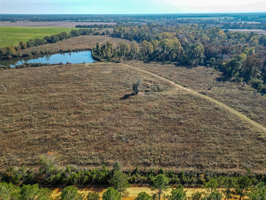 William Avera Rd, Morgan, GA 39866 - photo 1