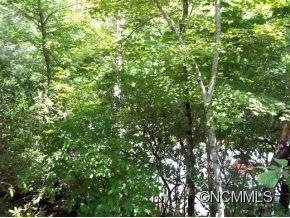 nicely wooded lot with streams