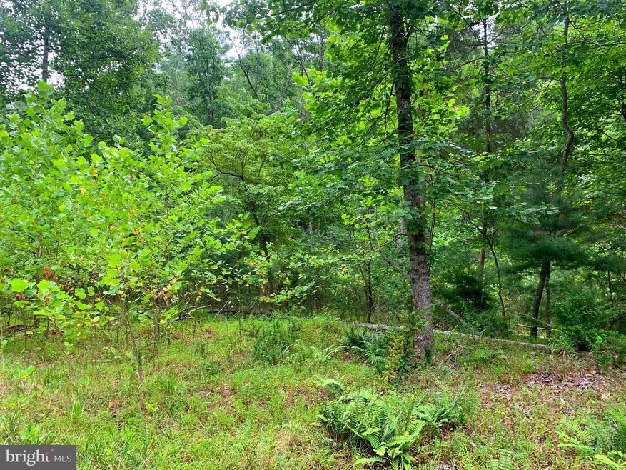 0 Shockeysville Rd unit VAFV2014768, Winchester, VA 22603 - photo 1