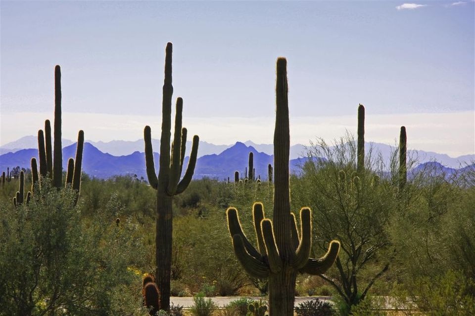 Pinnacle Peak Place