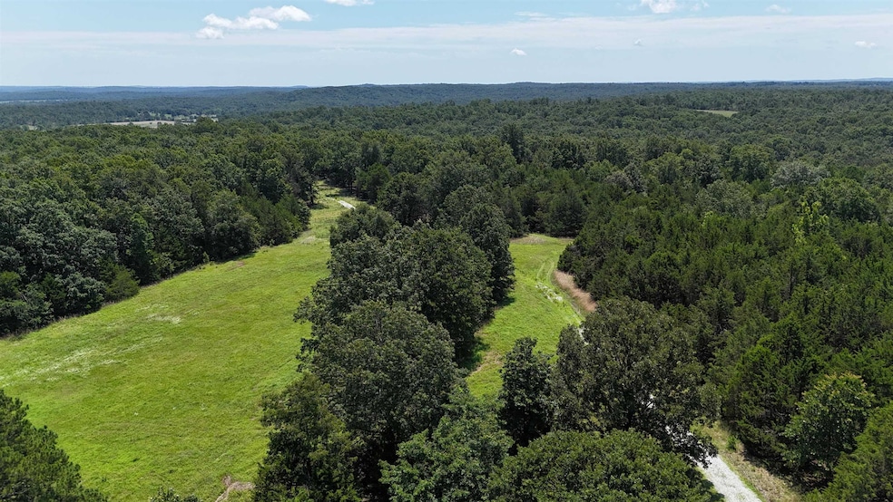 000 Kremer Dr, Franklin, AR 72536 - photo 1