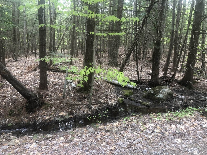 199 Dix St, Bridgewater, NH 03222 - photo 1