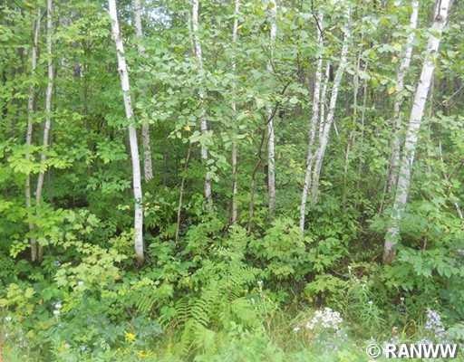 0 16th Ave unit 881556, Sumner Township, WI 54868 - photo 1