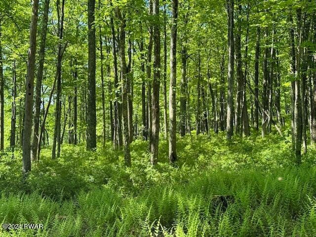 Lot 17 Woodlyn Acres Rd, Berlin Township, PA 18428 - photo 1