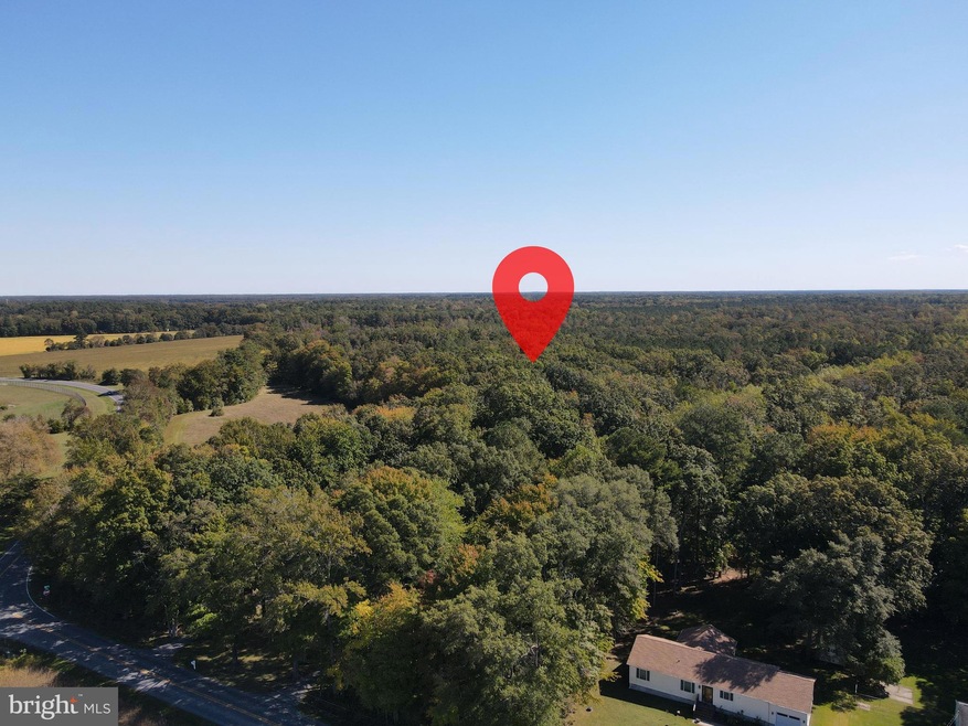 0 Wood Branch Rd unit DESU2030746, Georgetown, DE 19947 - photo 1