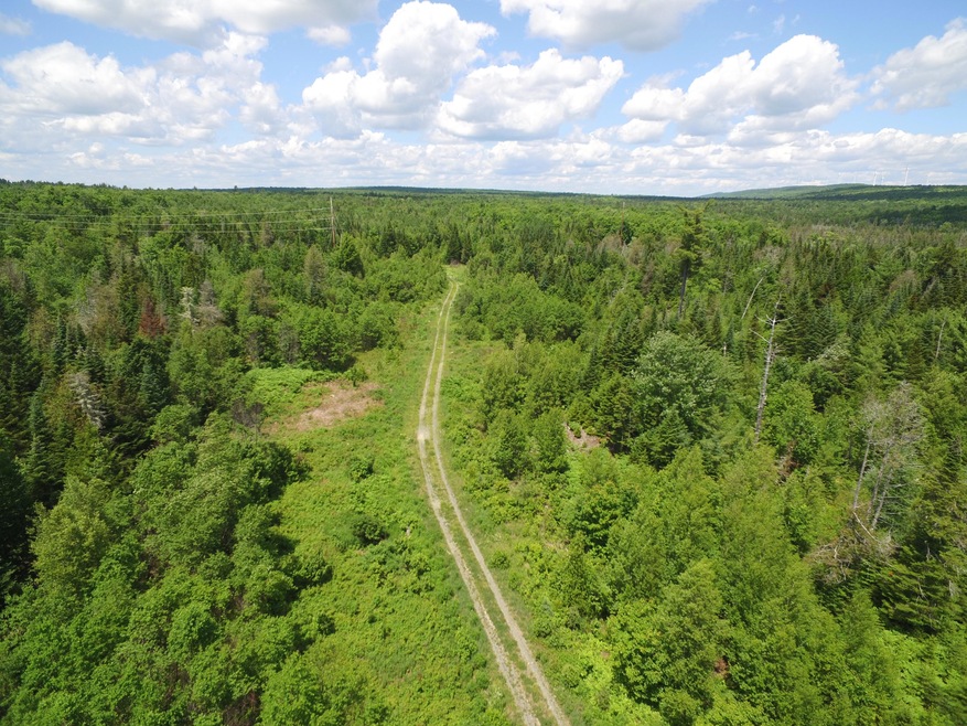 DJI_0507