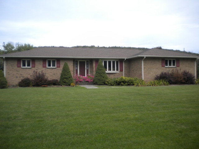 Main View