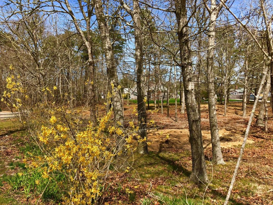 4 Cassandras Path, Edgartown, MA 02539 - photo 1