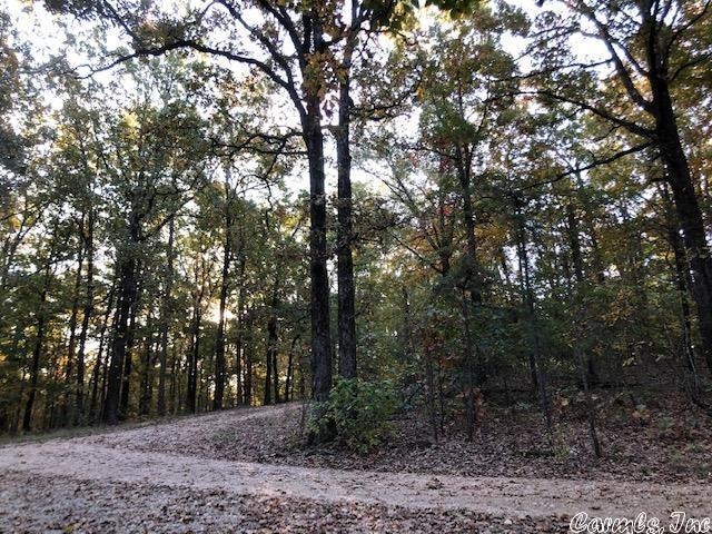 614 Cr 765, Brookland, AR 72417 - photo 1