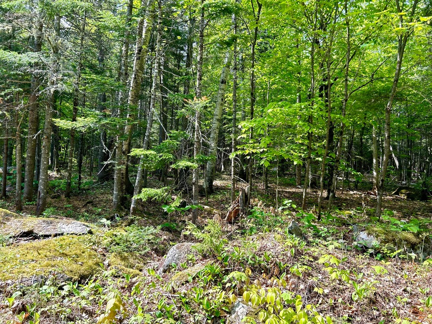 Sold $41,000 • Co-Listing Agent