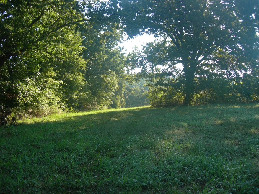 DSCN6889