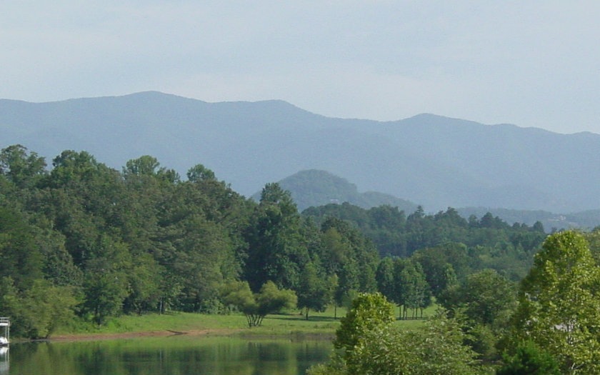 Main View