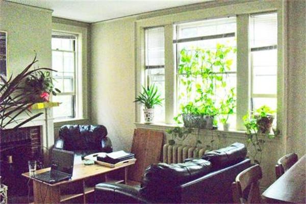 31 Concord Ave unit 5A, Cambridge, MA 02138 - photo 1