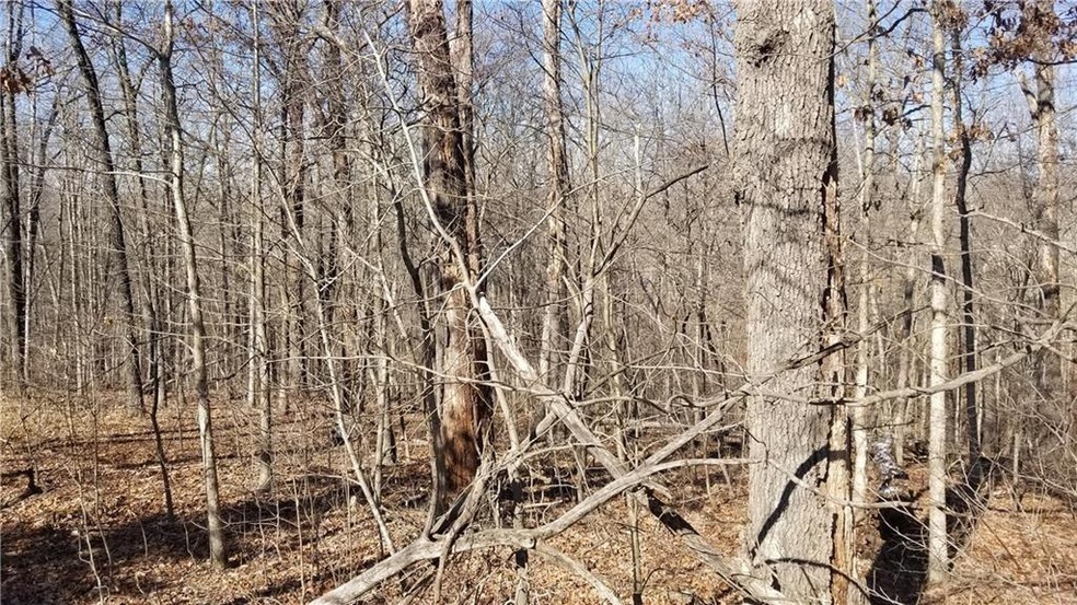 Pretty flat buildable lot up front, slopes at the back of the lot.