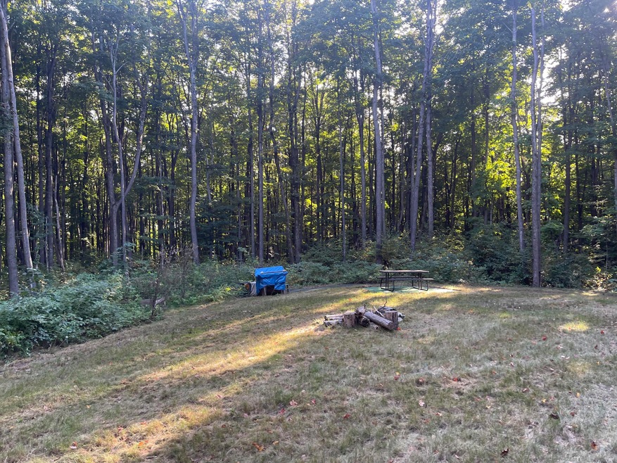 11234 White Ash Trail, Vanderbilt, MI 49795 - photo 1