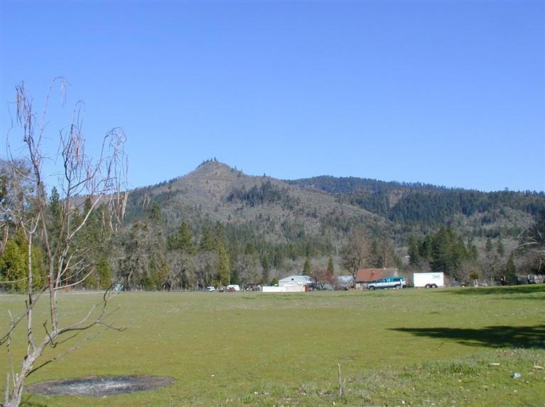 Primary Photo