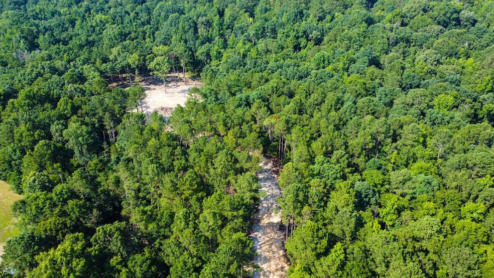 dji_fly_20250625_101106_336_175086086276