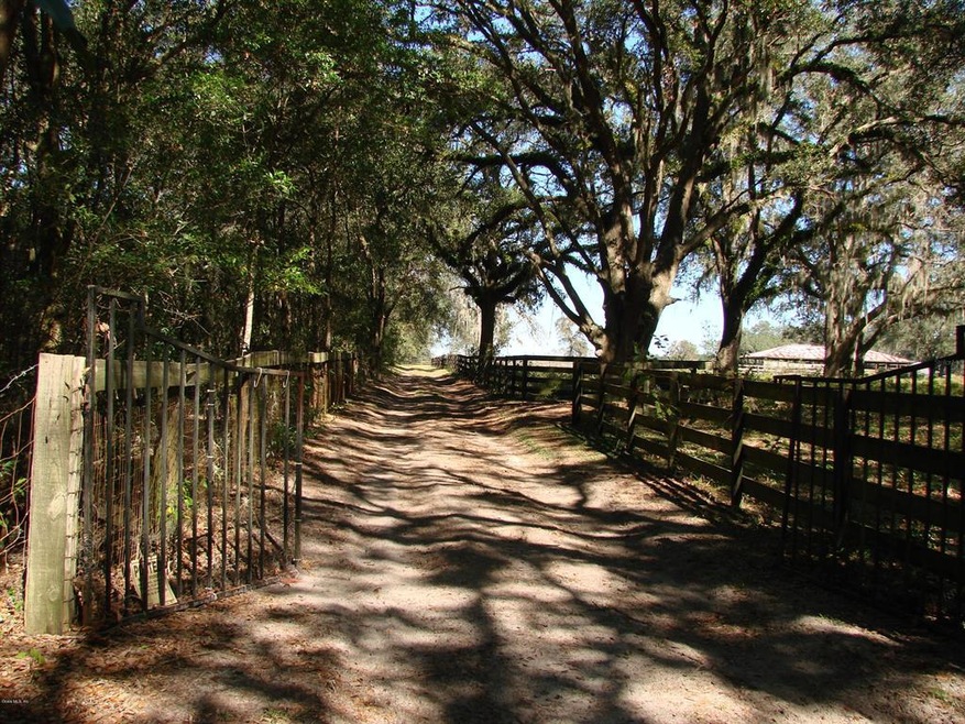 20991 SE 80th St, Morriston, FL 32668 - photo 1