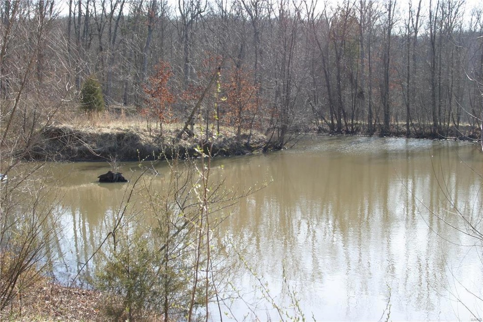 0 W Moonlight Trail unit 16012438, Robertsville, MO 63072 - photo 1