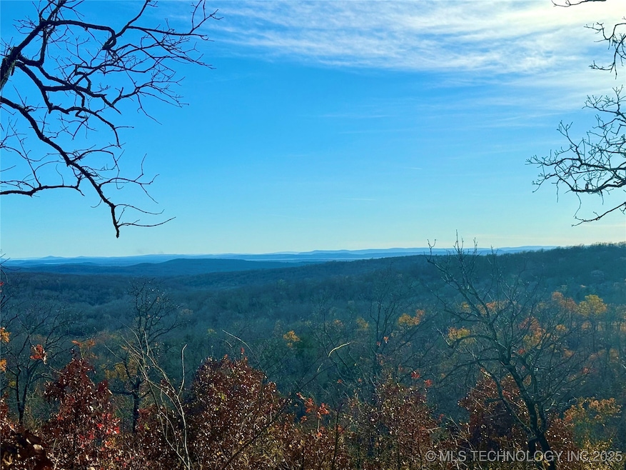 0 4540 Rd, Vian, OK 74962 - photo 1