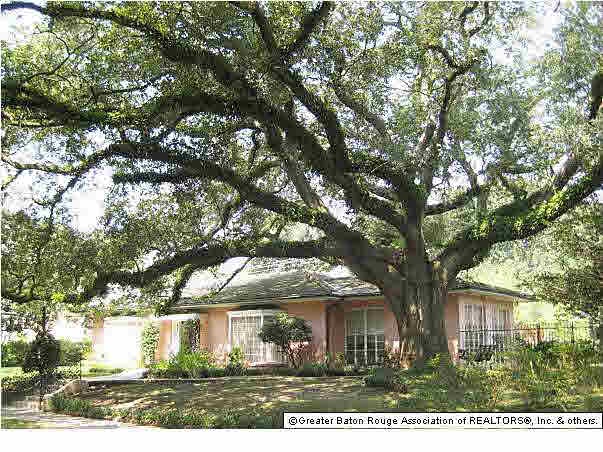 Garden District Beauty