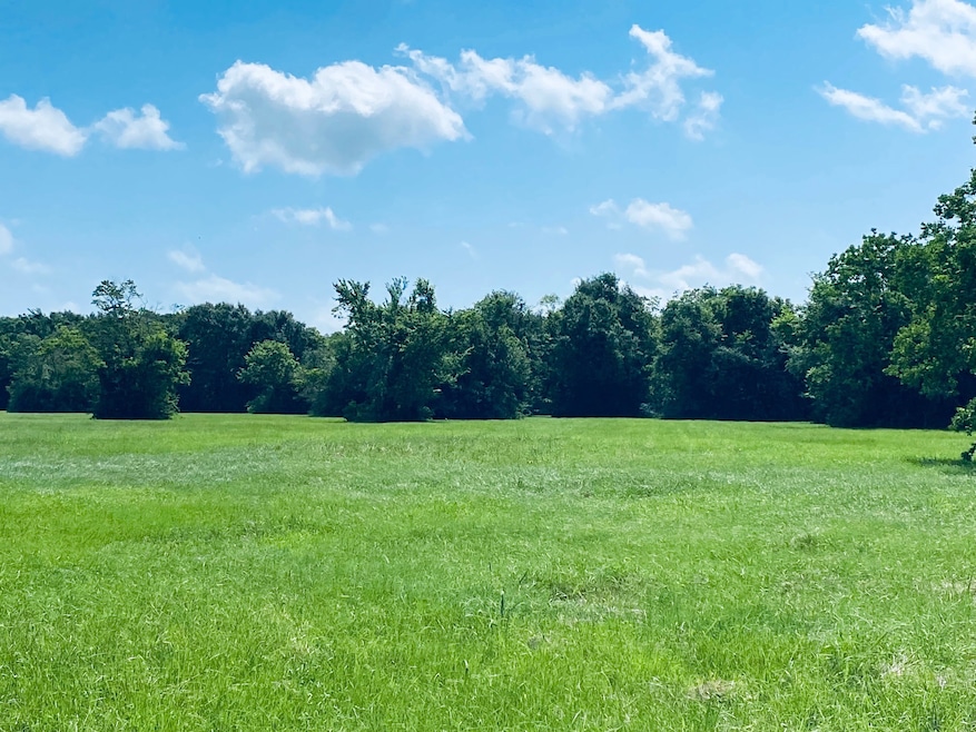 1717 Caroline St, Dickinson, TX 77539 - photo 1