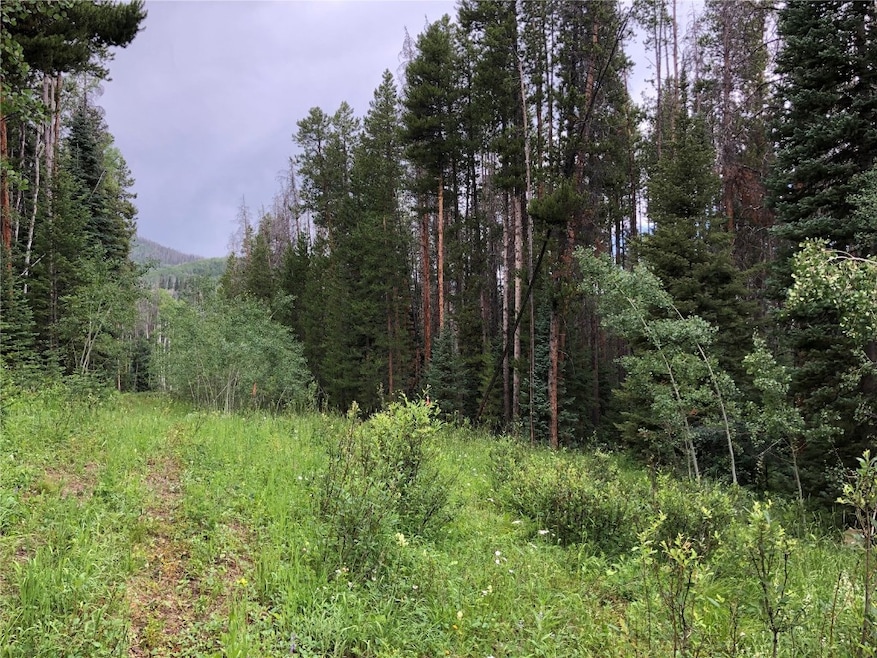 tbd Springboard Trail, Oak Creek, CO 80467 - photo 1