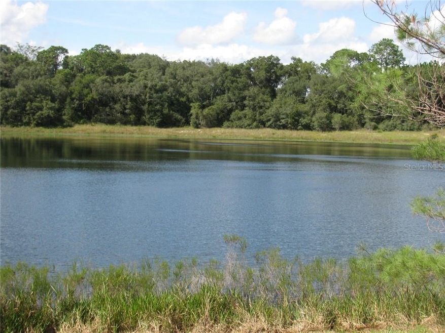 0 Malauka Loop unit G5027920, Ocklawaha, FL 32179 - photo 1