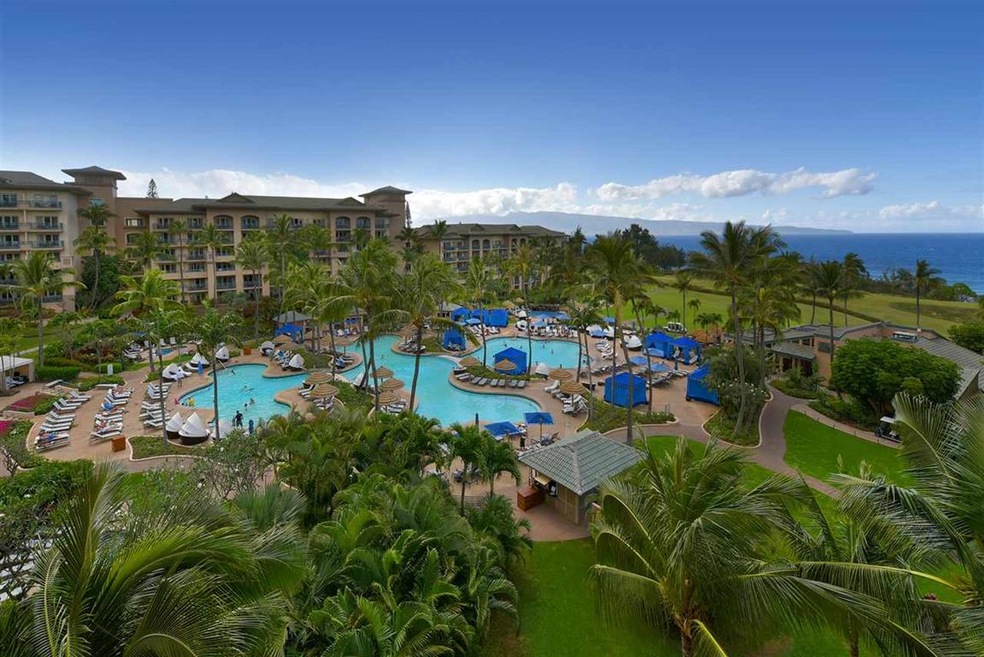 Ritz Carlton Pools