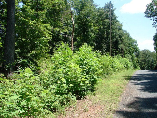 0 Lees Crossing Ln unit 12 38314, Appomattox, VA 24522 - photo 1