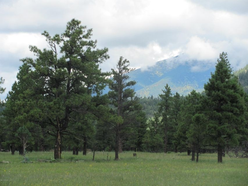 Pugh Lockett Ranches 16E 091