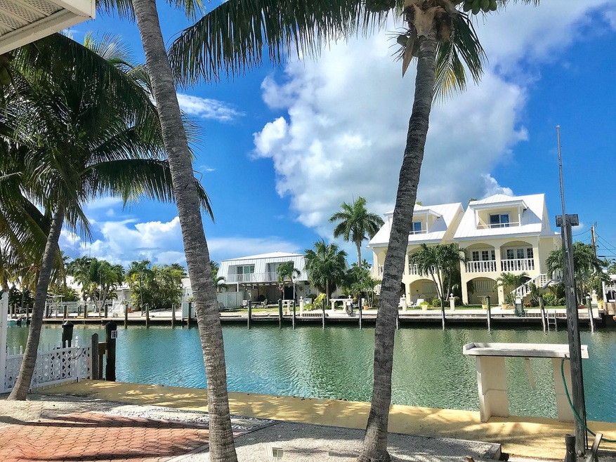 Shaded by Palm Trees