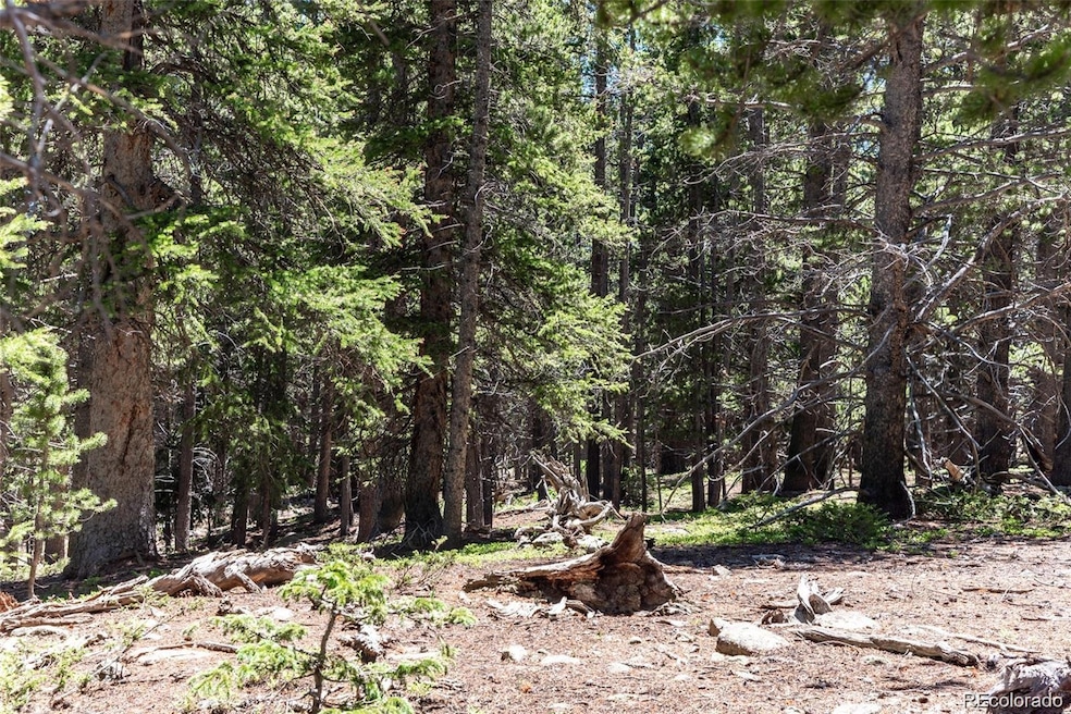 For Sale $70,000 • Co-Listing Agent