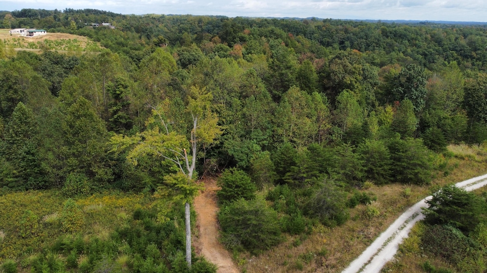 dji_fly_20241001_150110_291_172780970831