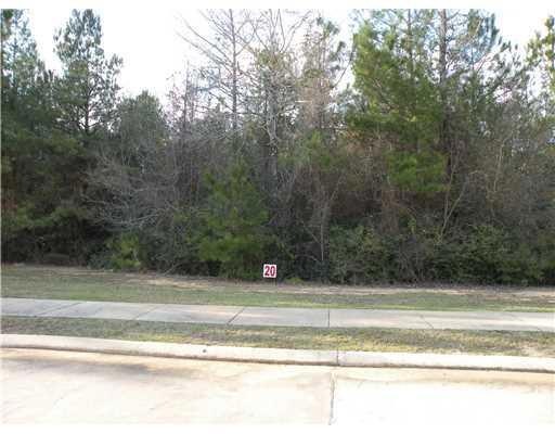 0 Sophia Way, Pineville, LA 71360 - photo 1