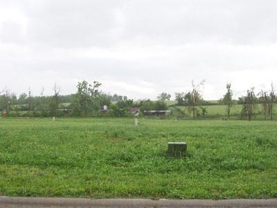 Primary Photo