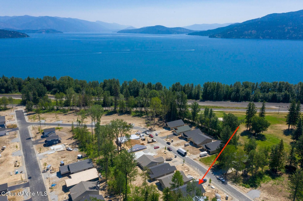 DJI_0370 250