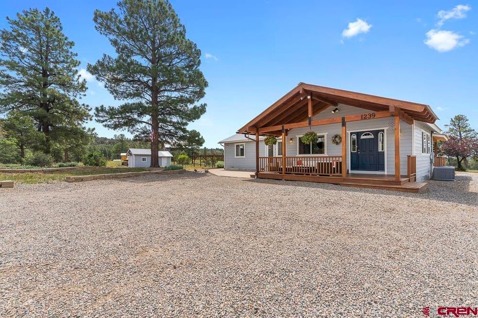 1239 Long Hollow Cir, Durango, CO 81301 - photo 1