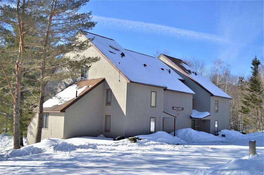 L Willows Snowtree Ln, Dover, VT 05356 - photo 1