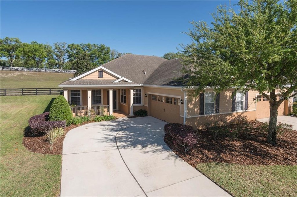 30500 Lipizzan Terrace, Mount Dora, FL 32757 - photo 1