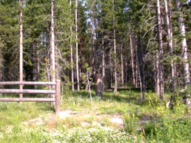 Main View