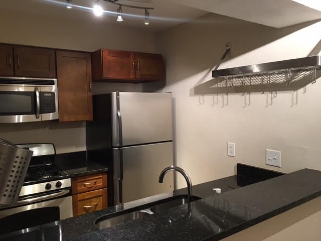 2020 S Congress Ave unit 2123, Austin, TX 78704 - photo 1