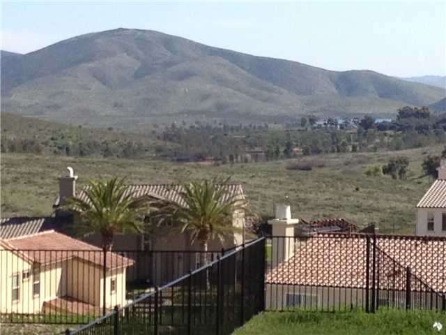 ZOOM VIEW